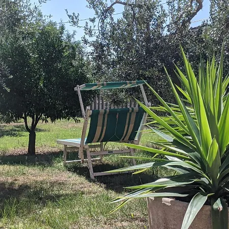 Διαμέρισμα In